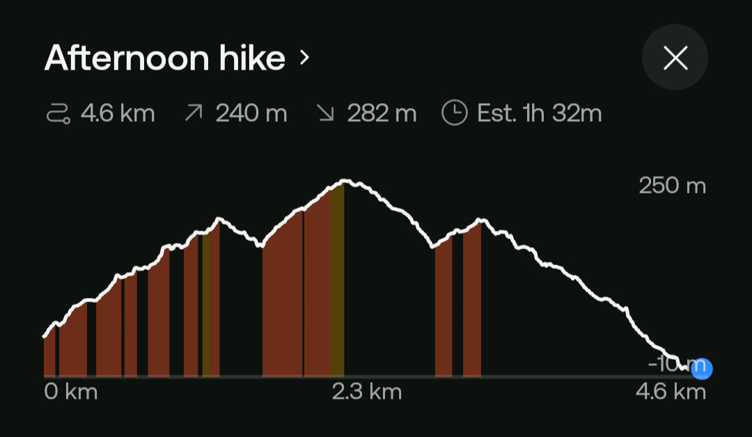 Afternoon hike